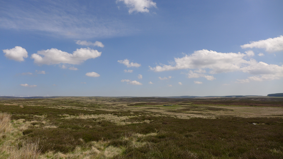 Image of Borrowston Rig (Stone Circle) by thelonious
