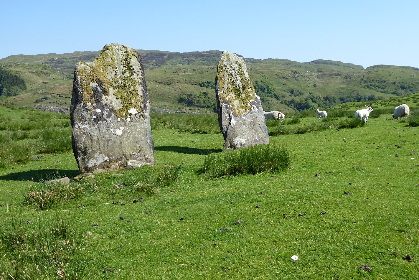 Image of Carnasserie (Stone Row / Alignment) by tjj
