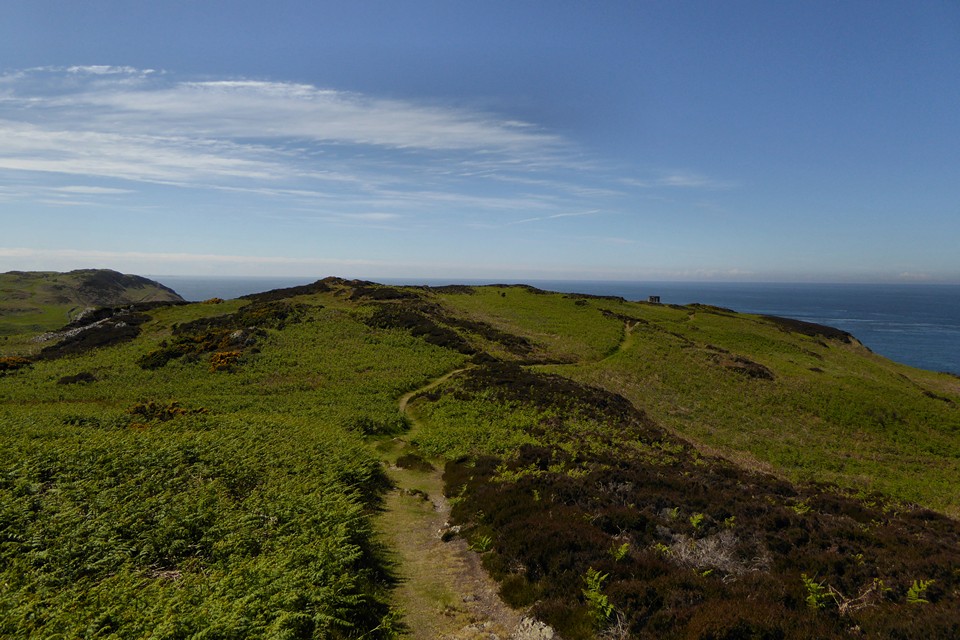 Image of Dinas Gynfor (Hillfort) by thesweetcheat