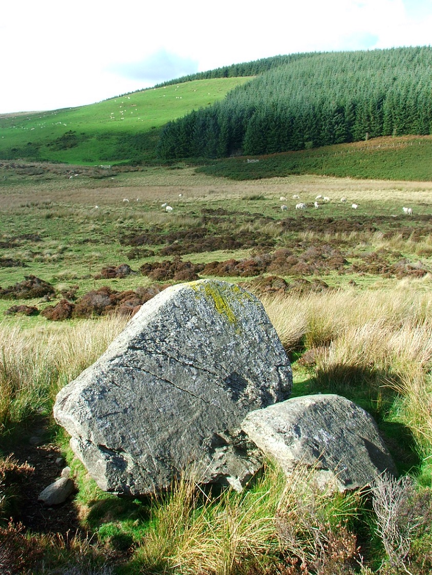 Image of Llyn Brenig 6 by postman