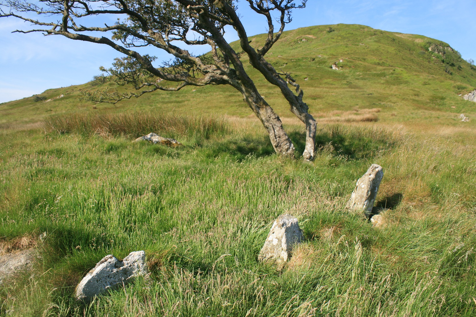 Image of Cae Du (Cairn(s)) by postman