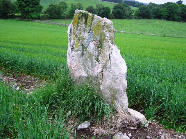 Image of Learney (Standing Stone / Menhir) by drewbhoy