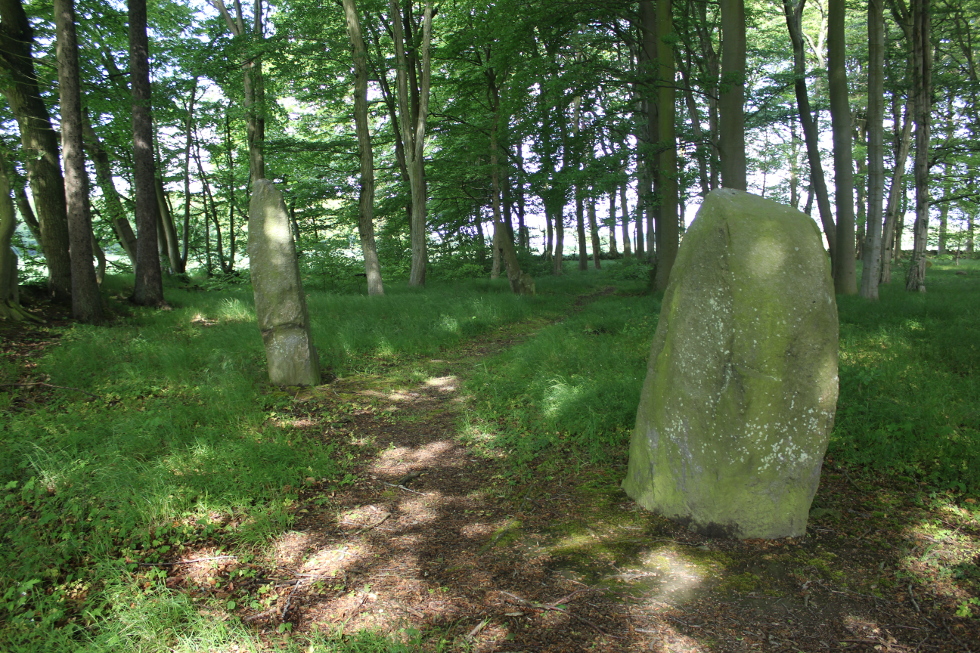 Image of Louisenlund (Standing Stones) by tiompan