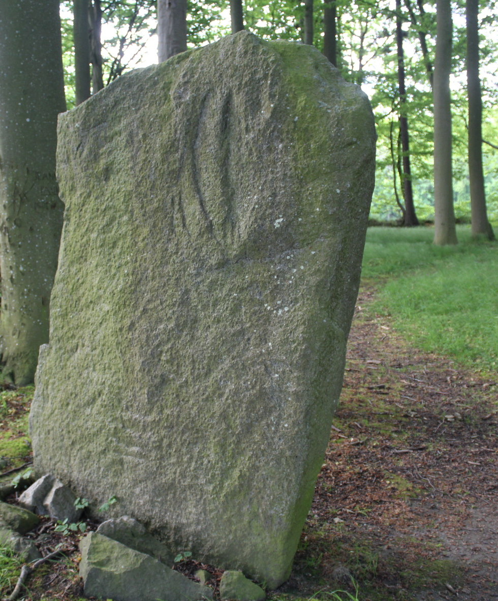 Image of Louisenlund (Standing Stones) by tiompan