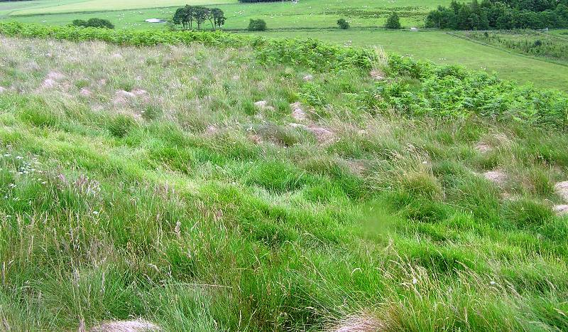 Image of Creagan an Tuirc (Hillfort) by drewbhoy