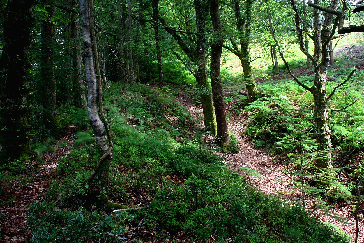 Image of Wooston Castle (Hillfort) by GLADMAN