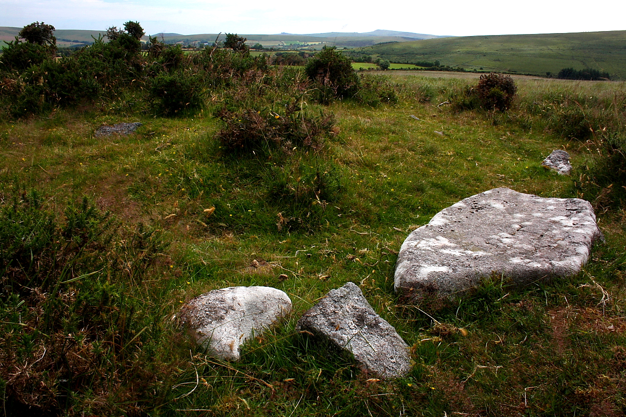 Image of Riddon Ridge (Round Cairn) by GLADMAN