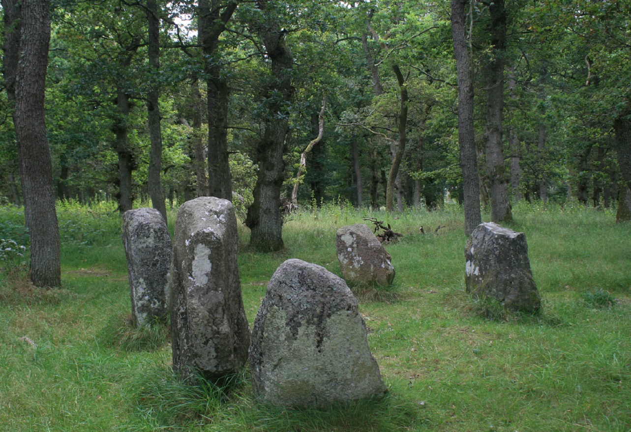Image of Image Wood (Stone Circle) by postman