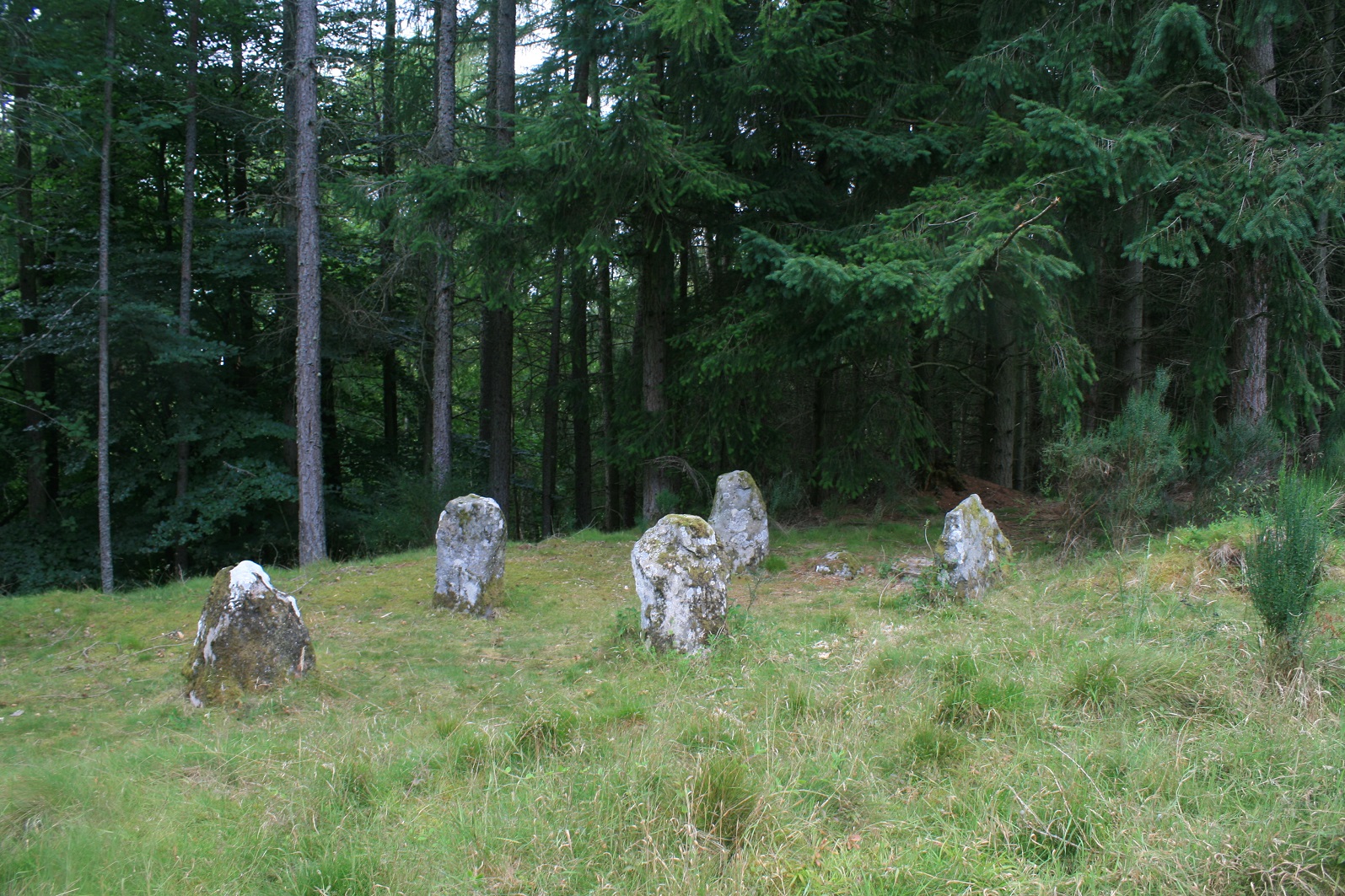 Image of Glassel (Stone Circle) by postman