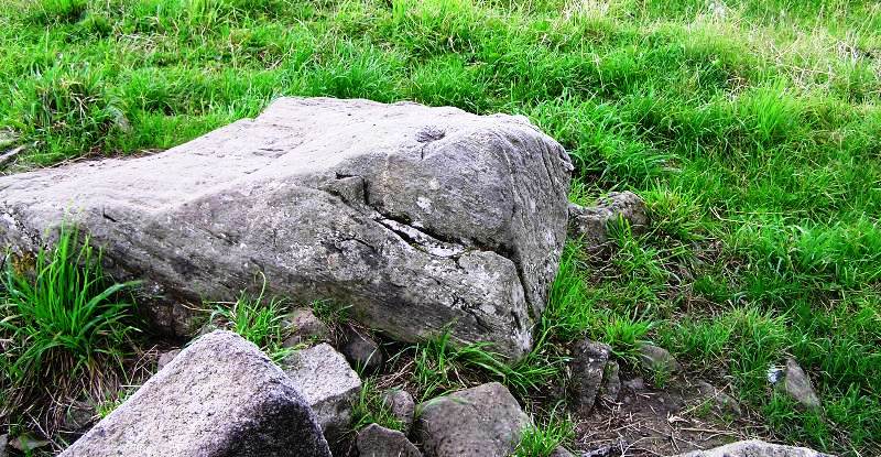 Image of Hilton Farm, Boundary Marker 18 (Cup Marked Stone) by drewbhoy
