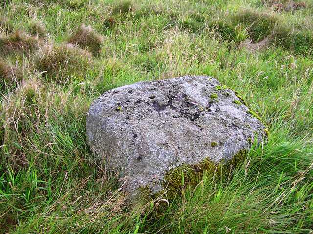 Image of Beans Hill (Cup Marked Stone) by drewbhoy