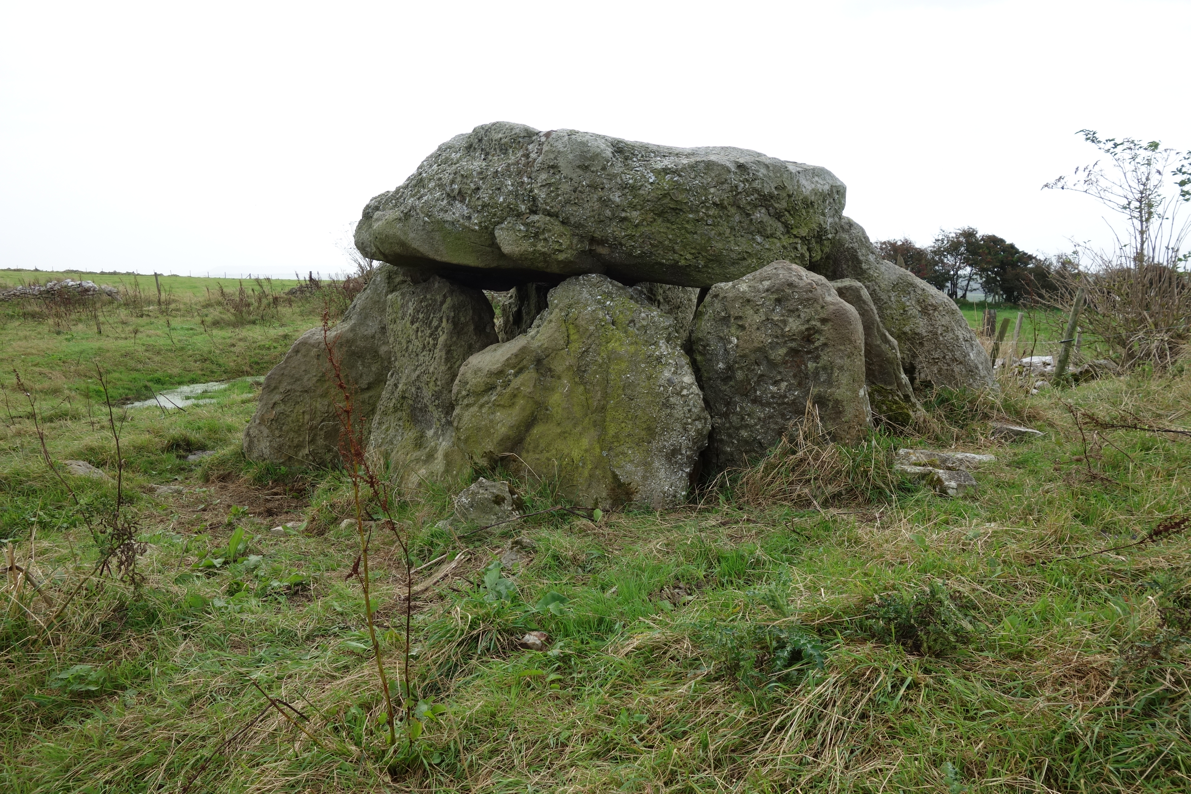 Image of The Hellstone (Dolmen / Quoit / Cromlech) by costaexpress
