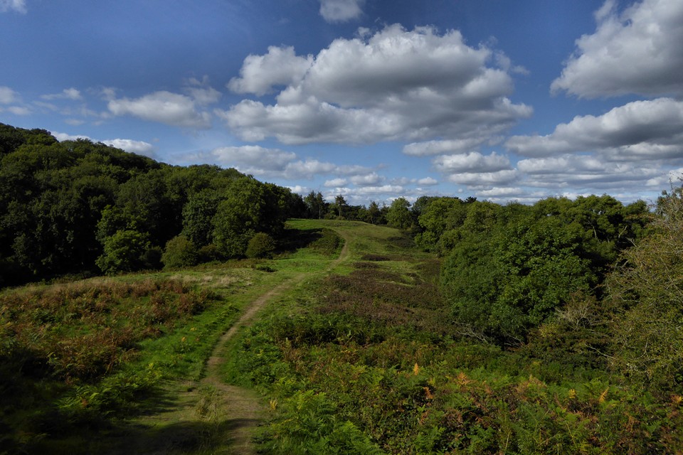 Image of Midsummer Hill (Hillfort) by thesweetcheat