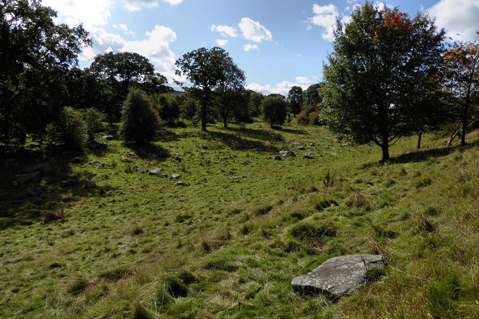 Image of Lockeridge Dene (Natural Rock Feature) by thesweetcheat