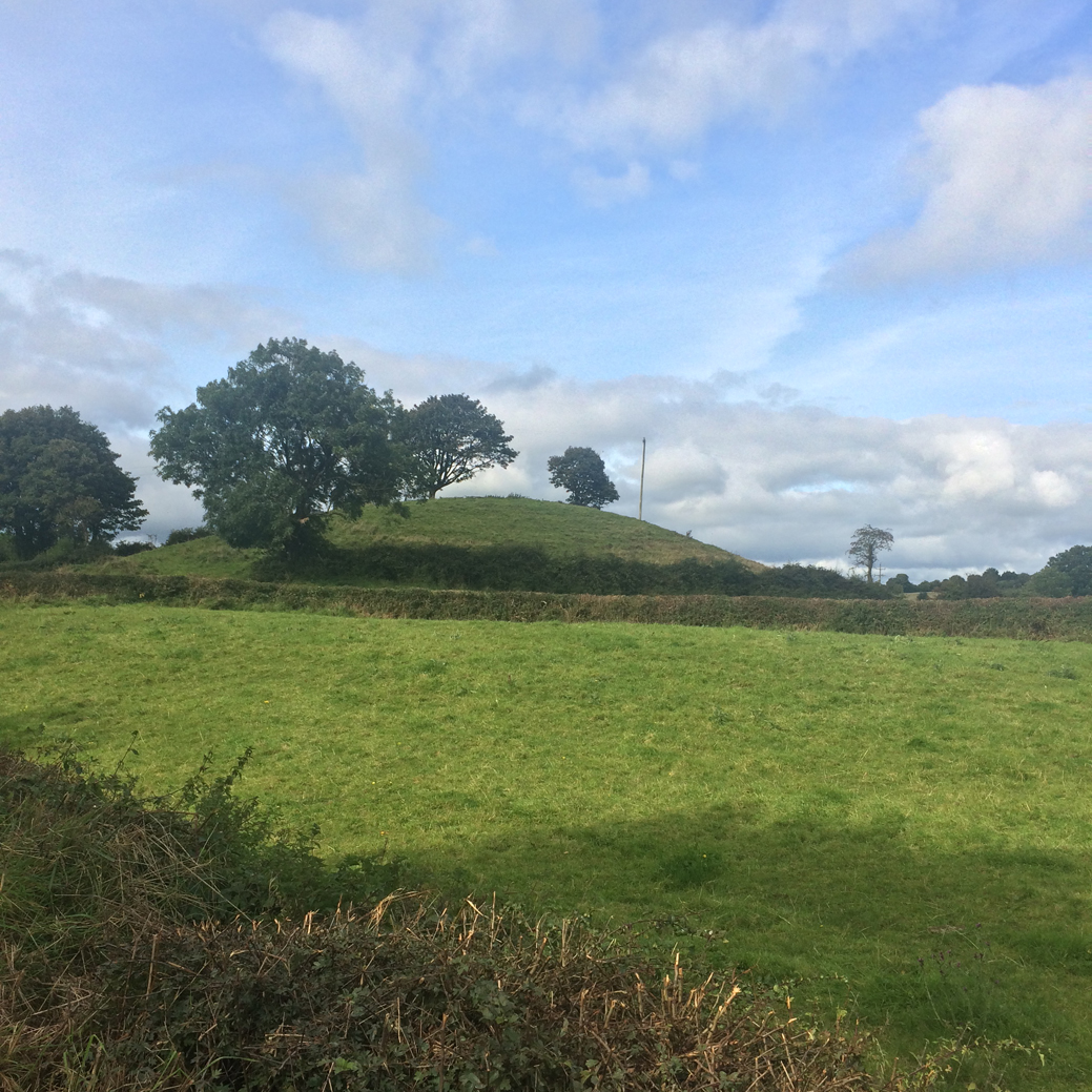 Image of Clonasillagh (Passage Grave) by ryaner
