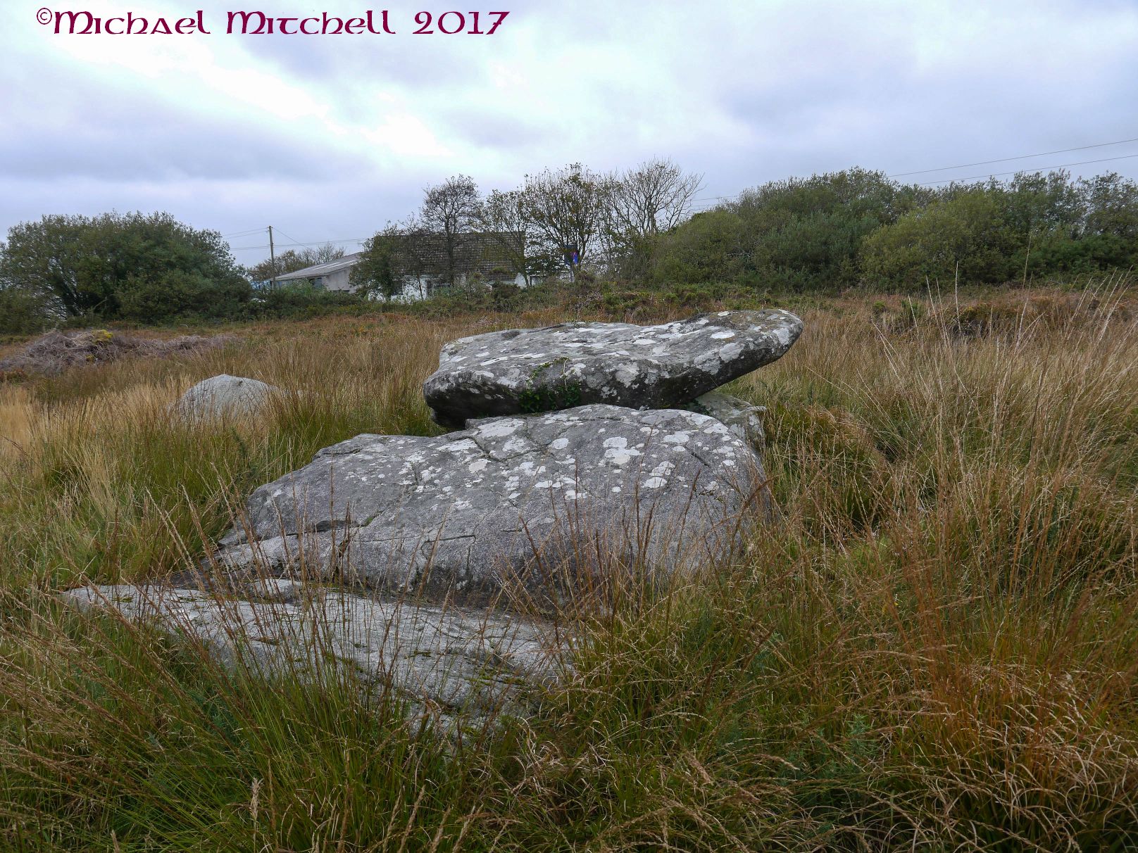 Image of Three Brothers of Grugith (Cist) by Meic