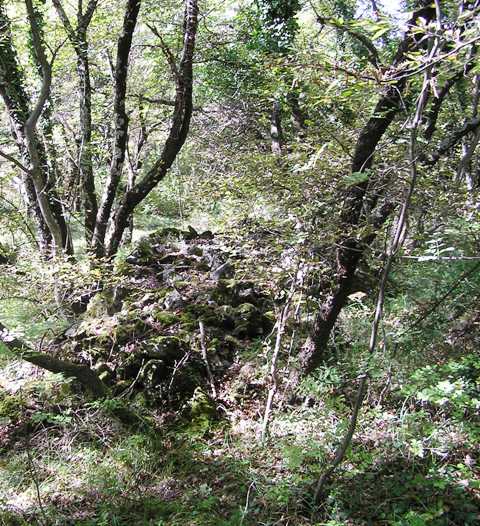 Image of Sales (Hillfort) by drewbhoy
