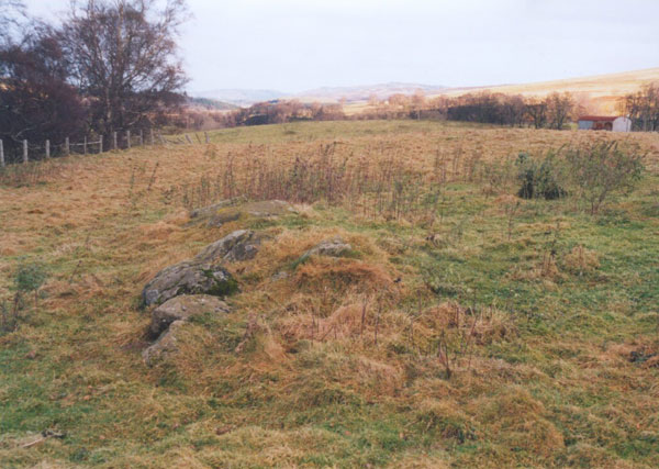 Image of Clachan Aoradh (Standing Stone / Menhir) by BigSweetie