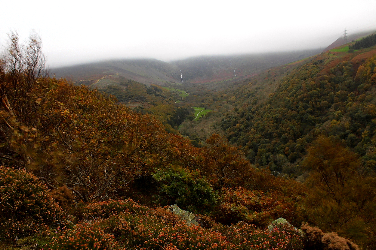 Image of Maes y Gaer (Hillfort) by GLADMAN
