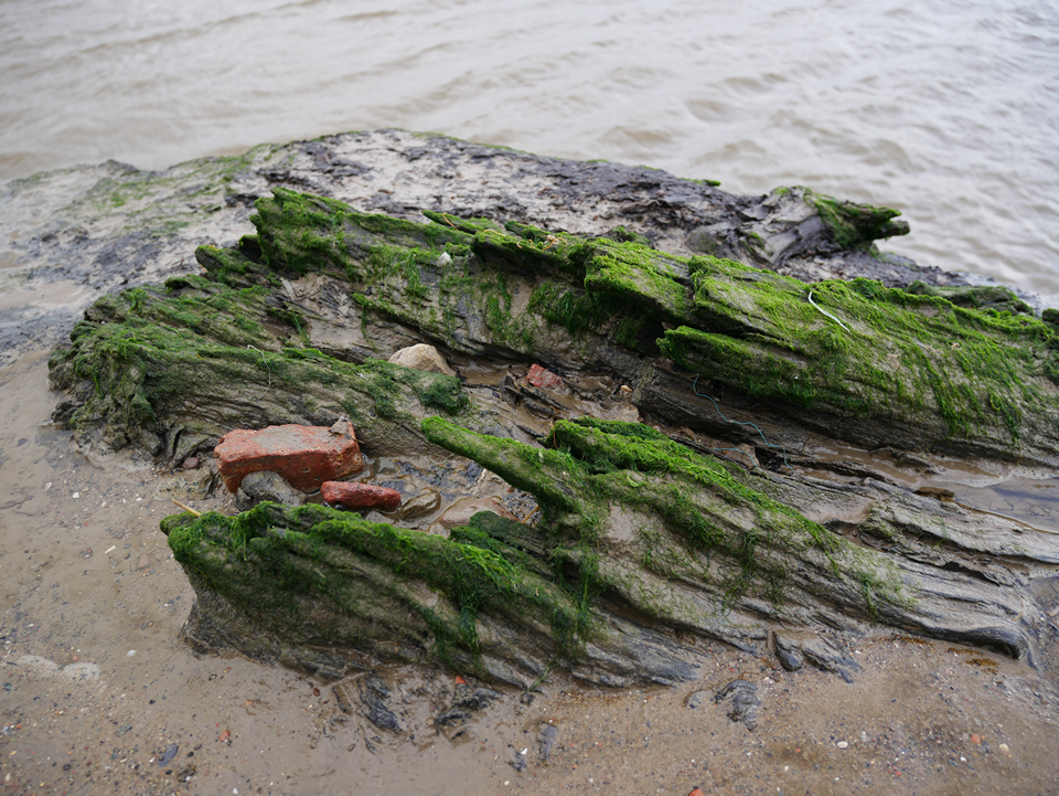 Image of Hightown submerged forest (Ancient Trackway) by thelonious