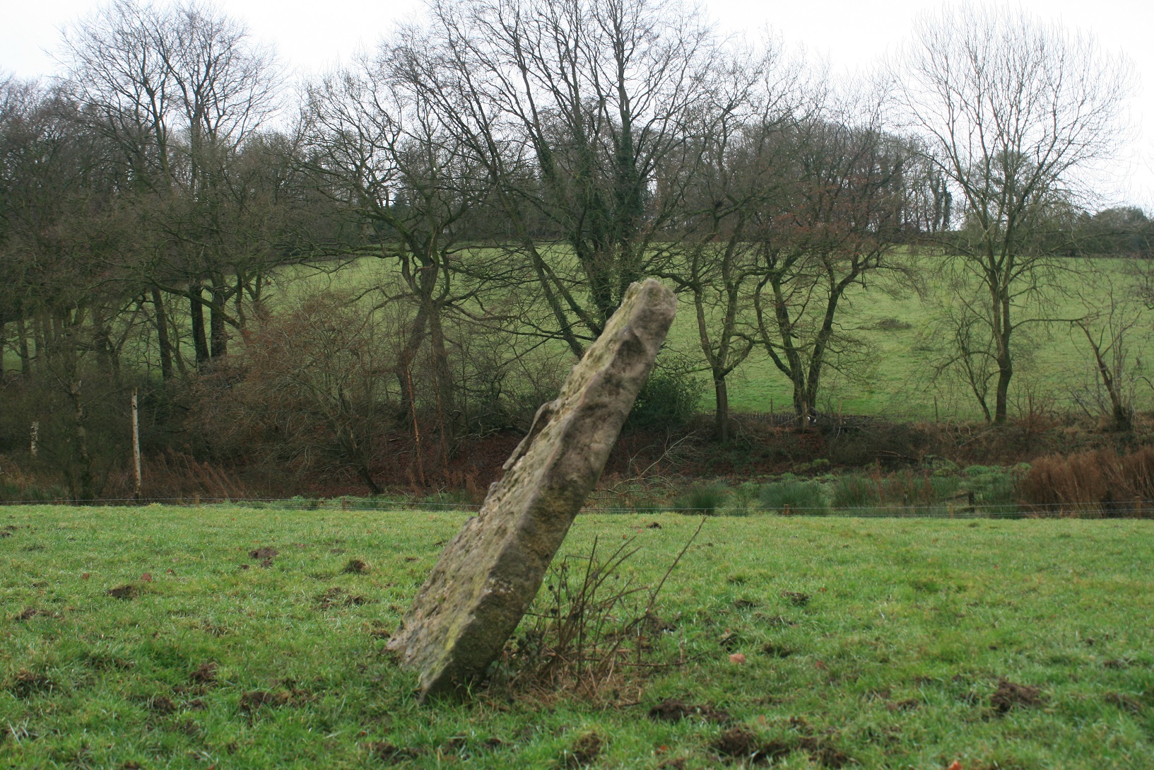 Image of Bradbourne (Standing Stone / Menhir) by postman
