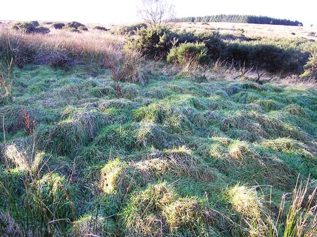 Image of Glenton South (Cairn(s)) by drewbhoy