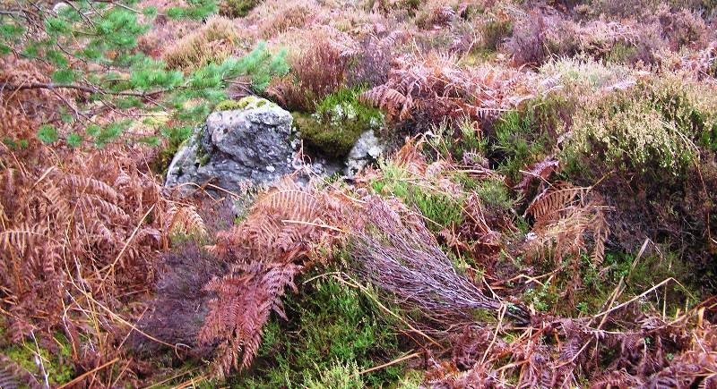 Image of Creag A’ Chait (Cairn(s)) by drewbhoy