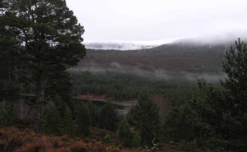 Image of Creag A’ Chait (Cairn(s)) by drewbhoy