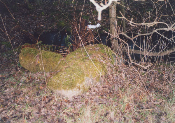 Image of Moneydie (Stone Circle) by BigSweetie