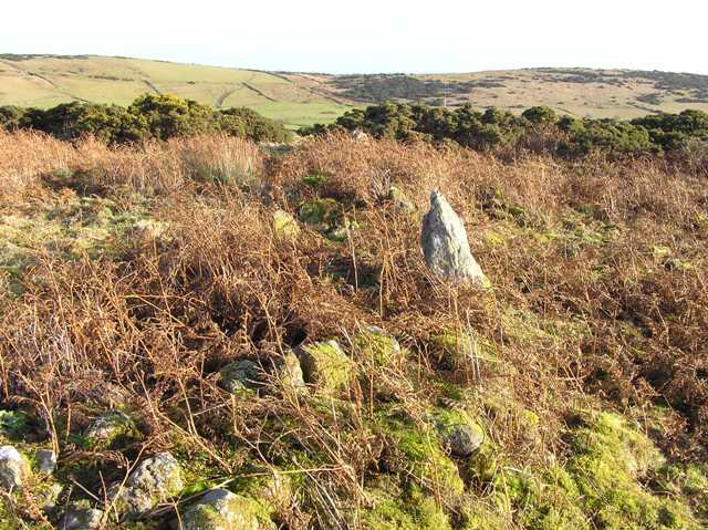 Image of Raedykes (Ring Cairn) by drewbhoy