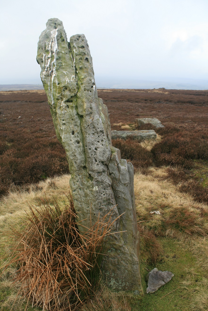 Image of High Bridestones (Stone Circle) by postman