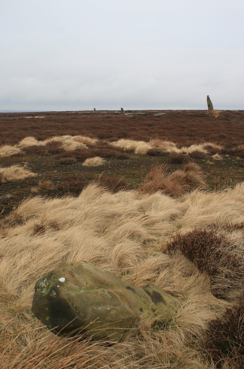 Image of High Bridestones (Stone Circle) by postman