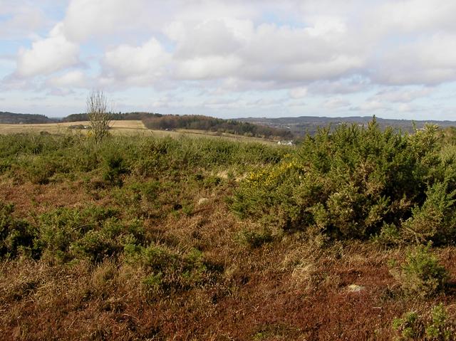 Image of Kincorth Hill (Cairn(s)) by drewbhoy