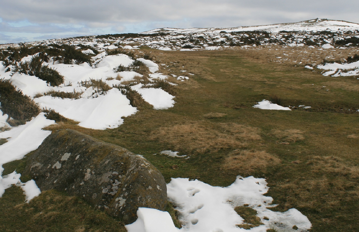 Image of The Cow Stone (Standing Stone / Menhir) by postman