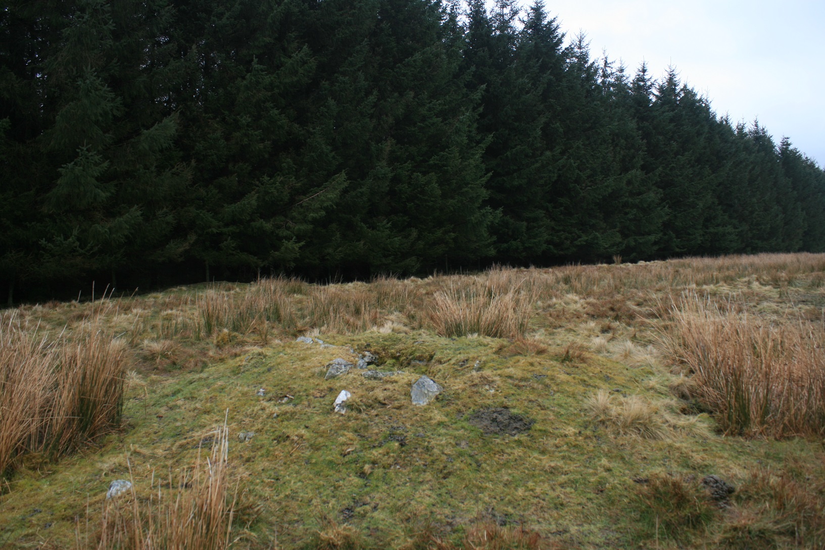 Image of Yr Aran cairns (Barrow / Cairn Cemetery) by postman