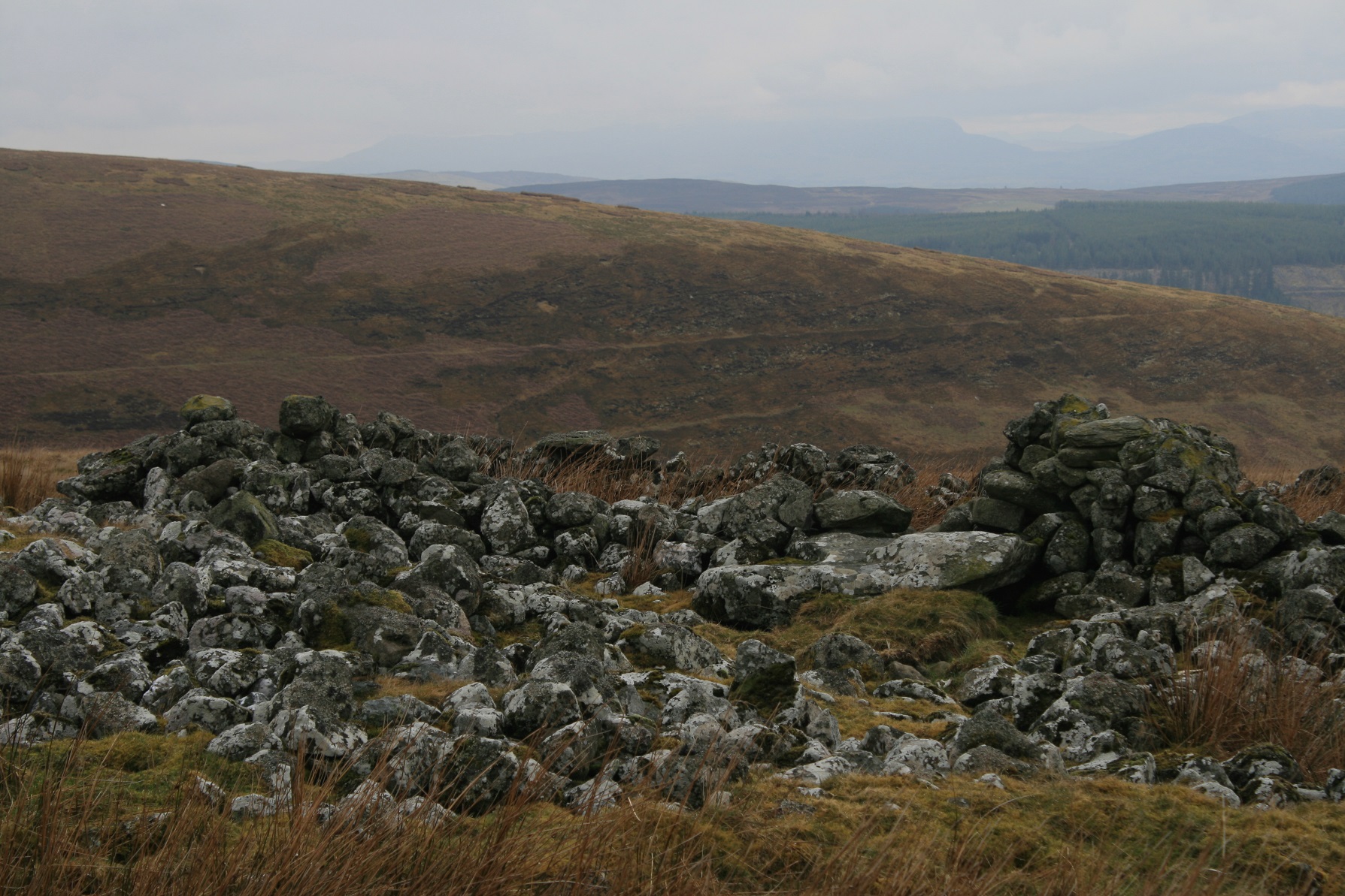 Image of Nant Esgeiriau (Round Cairn) by postman