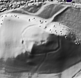 Image of How Hill, Low Whita (Hillfort) by juamei