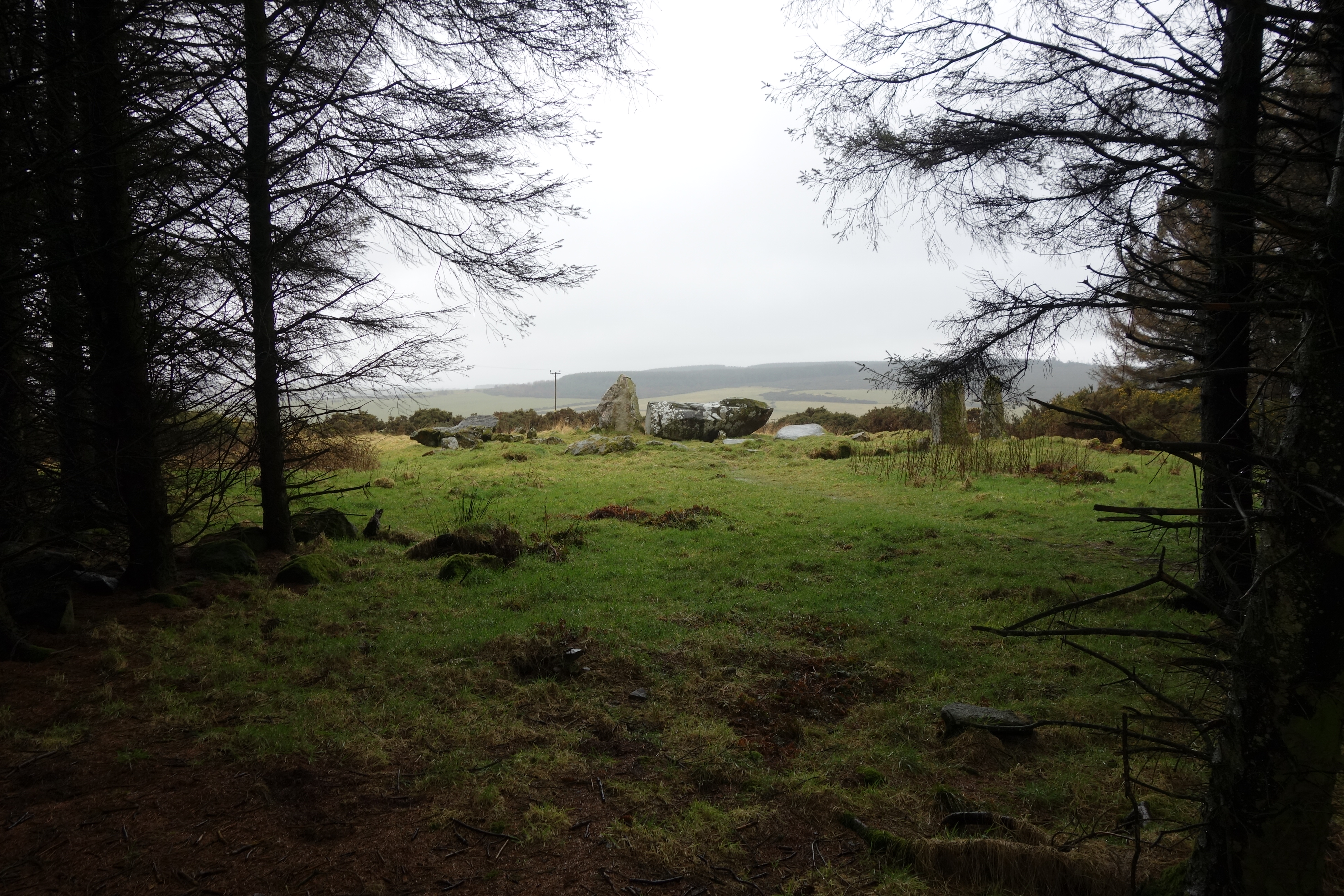 Image of Aikey Brae (Stone Circle) by costaexpress