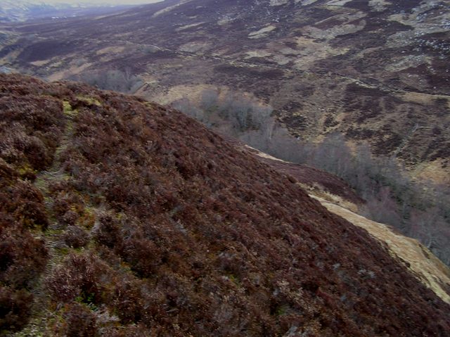 Image of Sidhean Mor Dail A’ Chaorainn (Enclosure) by drewbhoy