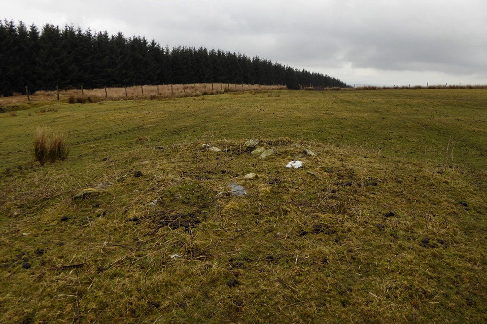 Image of Rhyd-y-Gethin (Cairns) (Cairn(s)) by thesweetcheat
