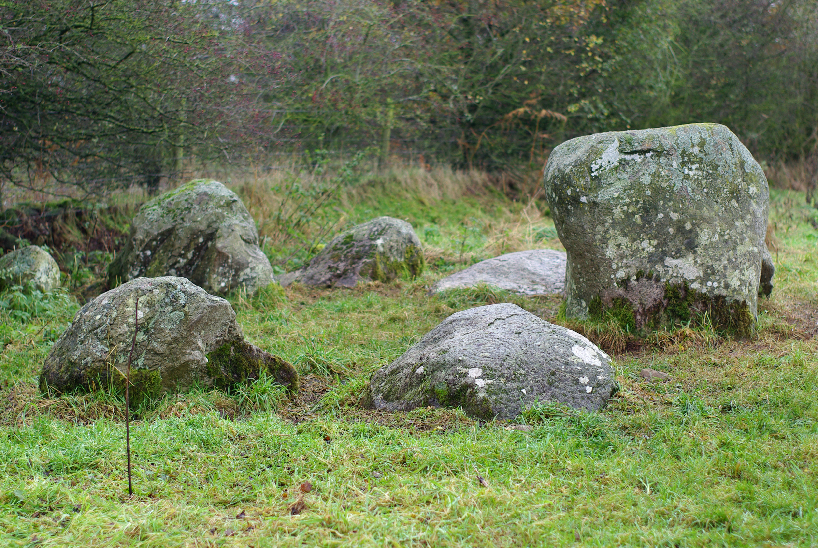 Image of Little Meg (Stone Circle) by Zeb