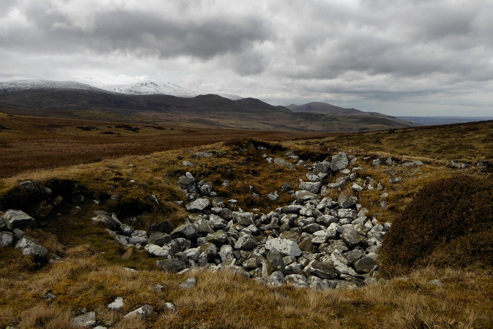 Image of Cefn Coch (Penmaenmawr) (Cairn(s)) by thesweetcheat