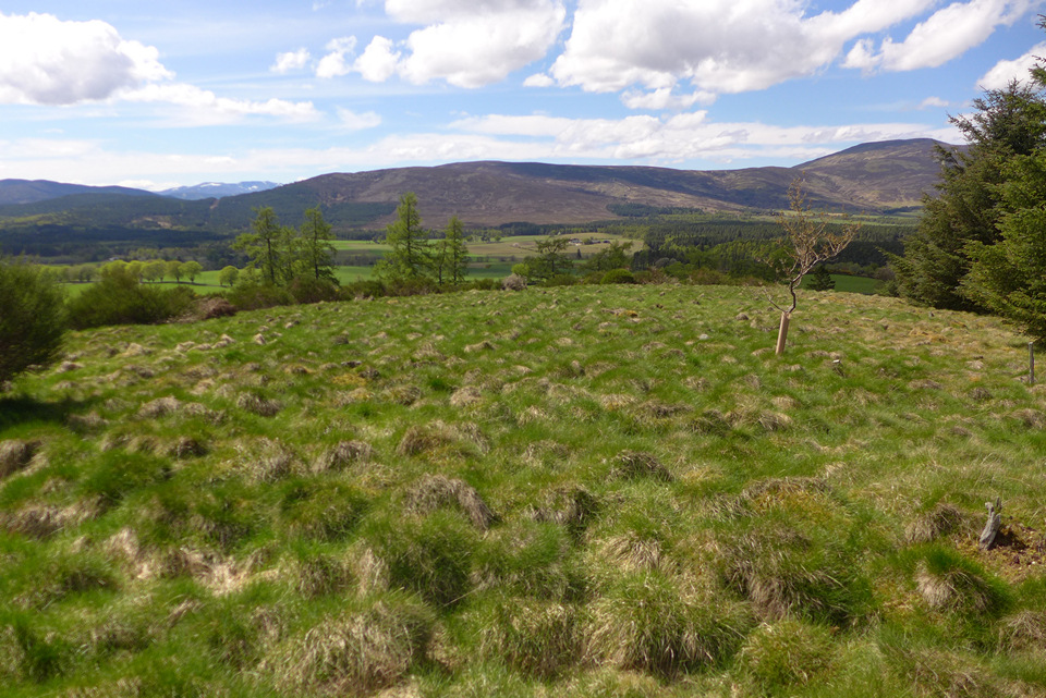 Image of Knockargety Hill (Hillfort) by thelonious