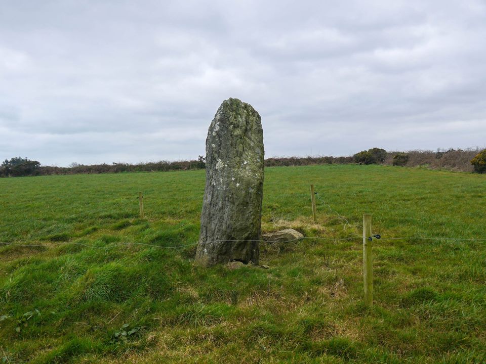 Image of Derryduff (Standing Stone / Menhir) by Meic