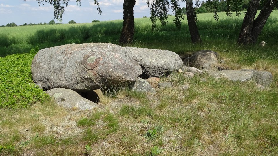 Image of Eyendorf 1 (Passage Grave) by Nucleus