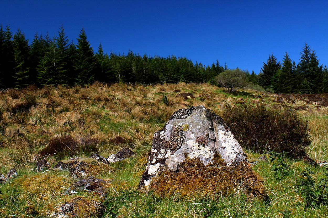 Image of Strathseasgaich (Chambered Cairn) by GLADMAN