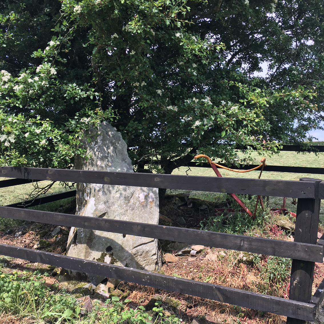 Image of Lackafin (Chambered Tomb) by ryaner