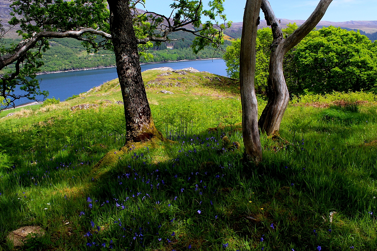 Image of Dun Lagaidh (Broch) by GLADMAN