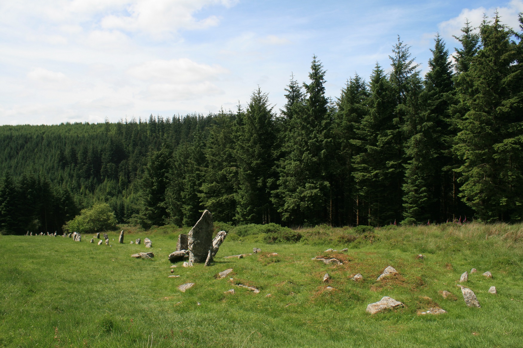 Image of Assycombe Hill (Stone Row / Alignment) by postman