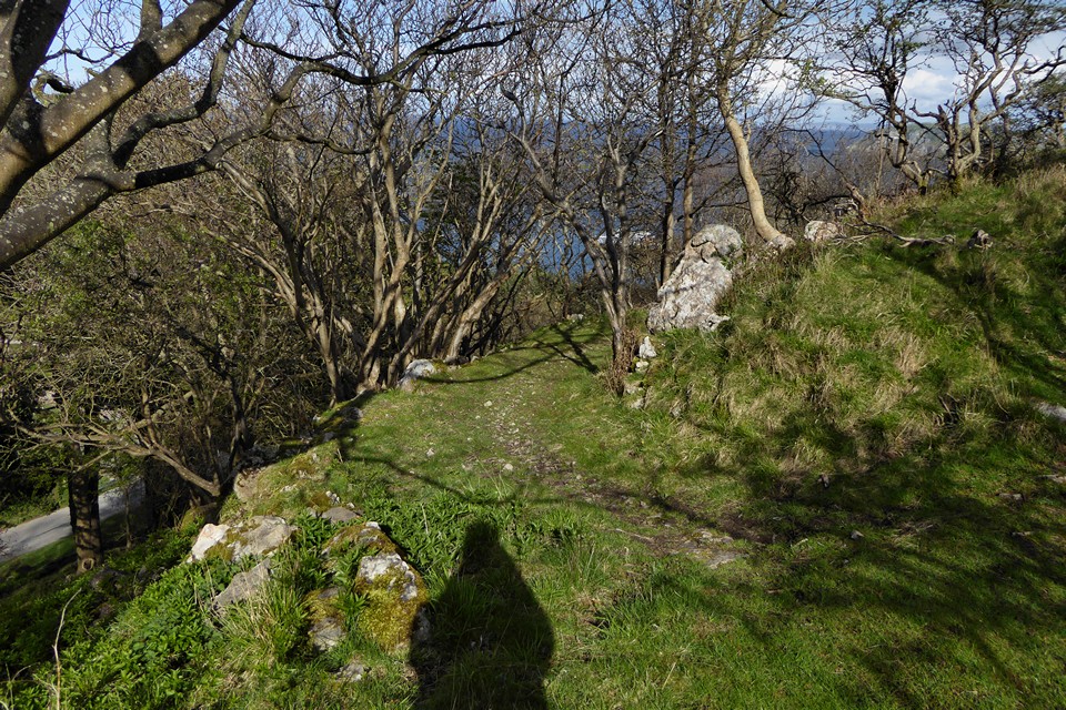 Image of Pen y Dinas (Llandudno) (Hillfort) by thesweetcheat